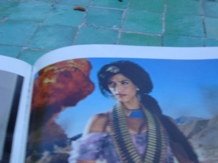 Aladdin's princess Jasmine